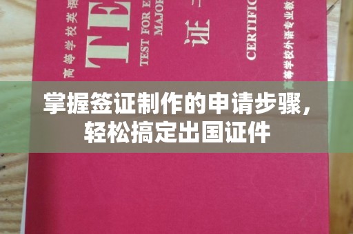 独山子掌握签证制作的申请步骤，轻松搞定出国证件